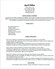 Professional Loan Officer Resume Templates To Showcase Your Talent MyPerfectResume